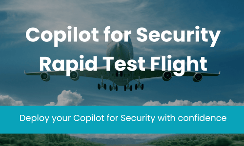 Rapid Test Flight 