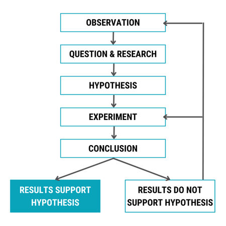 Scientific Method Workflow